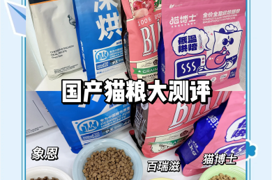 PowerMill 2021 安装指南+下载包,速来获取